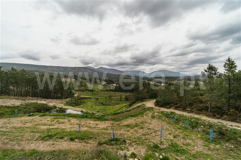 Terreno com ruina  com Rústico Covilhã, Erada - 1391145 - 32