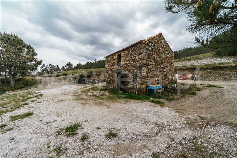 Terreno com ruina  com Rústico Covilhã, Erada - 1391145 - 37