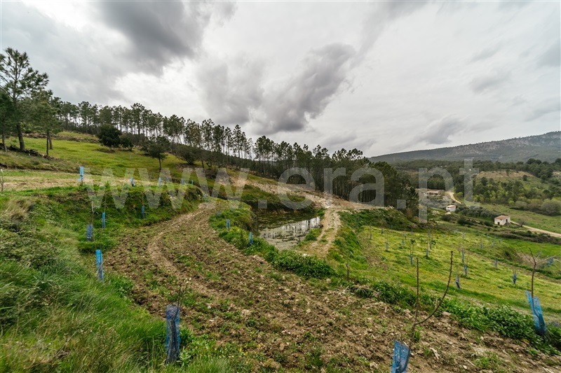 Terreno com ruina  com Rústico Covilhã, Erada - 1391145 - 43