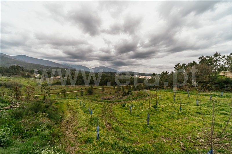 Terreno com ruina  com Rústico Covilhã, Erada - 1391145 - 50