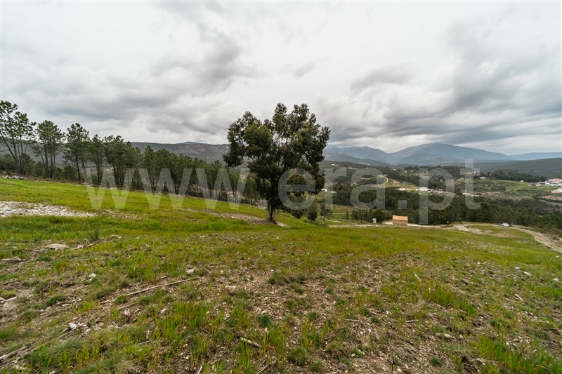 Terreno com ruina  com Rústico Covilhã, Erada - 1391145 - 67