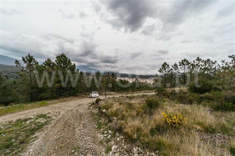 Terreno com ruina  com Rústico Covilhã, Erada - 1391145 - 72