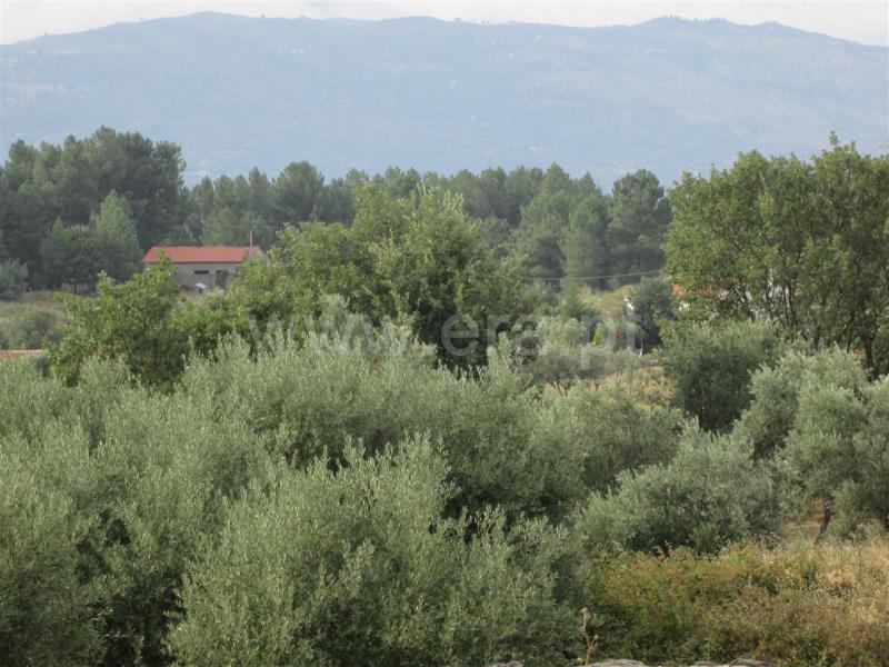 Terreno  Covilhã, Peraboa - 1271963 - 11