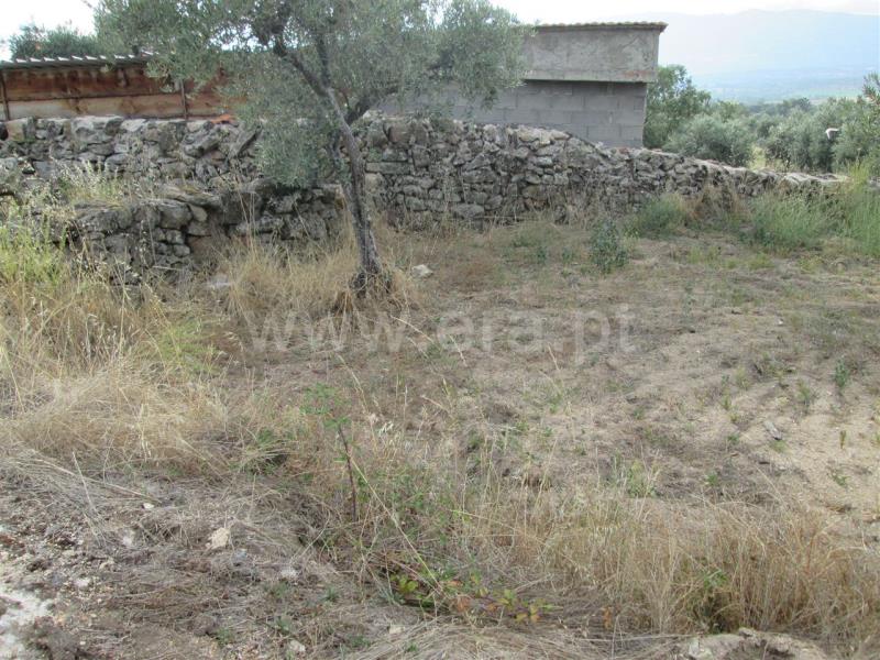 Terreno  Covilhã, Peraboa - 1271963 - 13