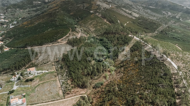Quinta T0 Covilhã, Serra da Estrela - 1299962 - 4