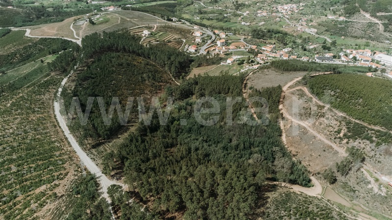 Terreno com ruina / Covilhã, Serra da Estrela