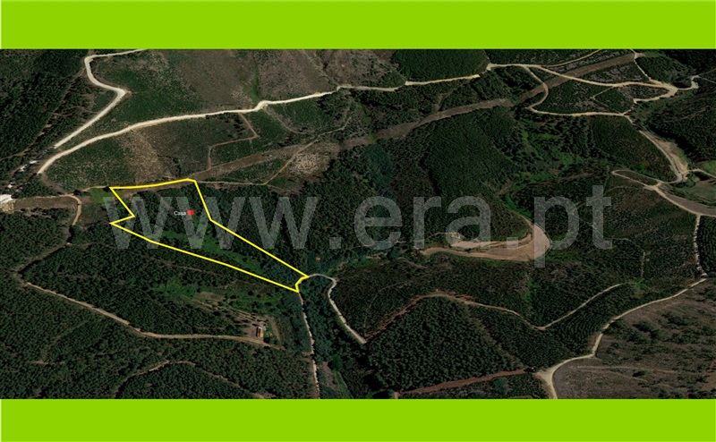 Quinta T0 Covilhã, Serra da Estrela - 1299965 - 2