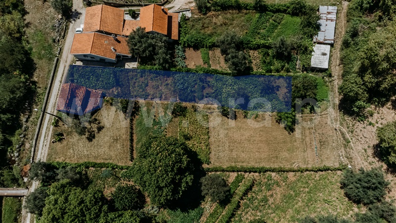 Terreno com ruina  Covilhã, Serra da Estrela - 1415197 - 24