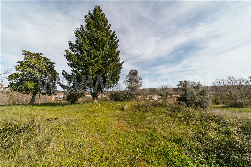 Terreno com ruina / Covilhã, Teixoso