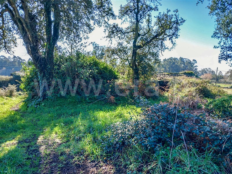 Terreno com ruina  Esposende, Gemeses - 1375665 - 1