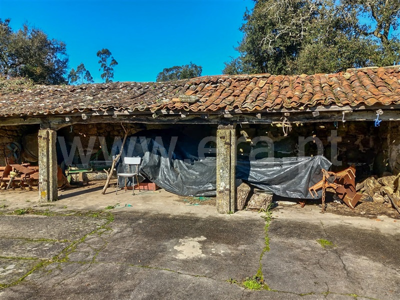 Terreno com ruina  Esposende, Gemeses - 1375665 - 4