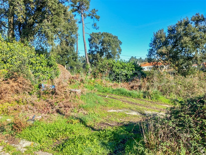 Terreno com ruina  Esposende, Gemeses - 1375665 - 5