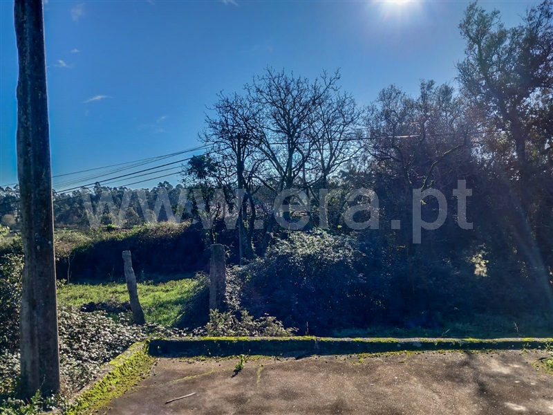 Terreno com ruina  Esposende, Gemeses - 1375665 - 7