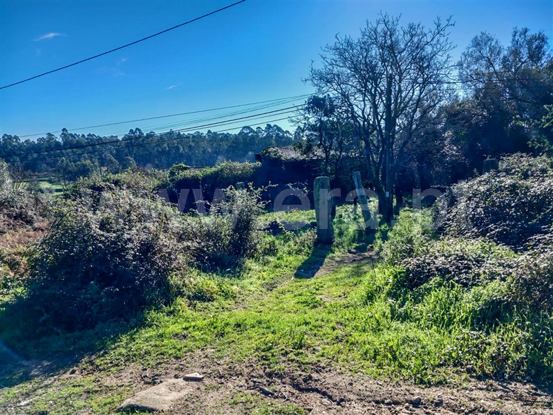 Terreno com ruina  Esposende, Gemeses - 1375665 - 8