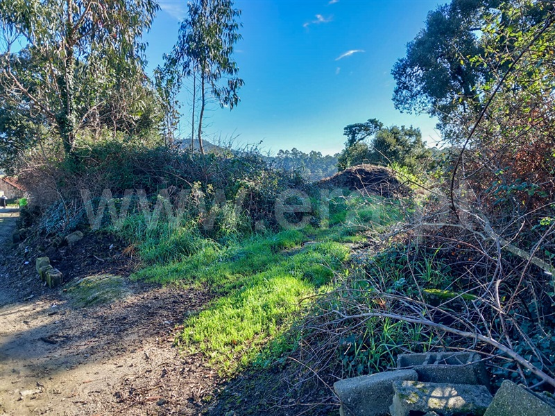 Terreno com ruina  Esposende, Gemeses - 1375665 - 12
