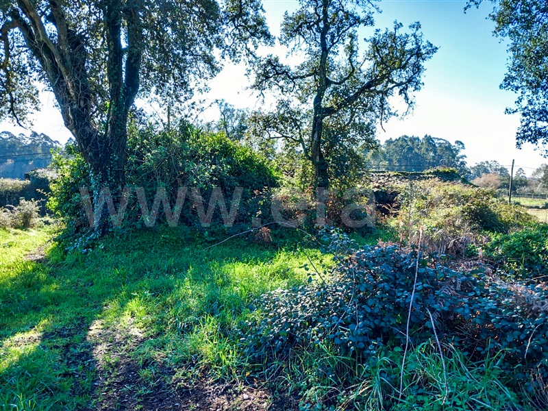 Terreno com ruina  Esposende, Gemeses - 1375665 - 15