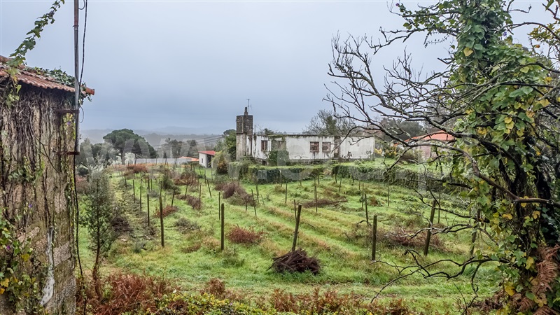 Terreno com ruina / Esposende, Palmeira de Faro e Curvos