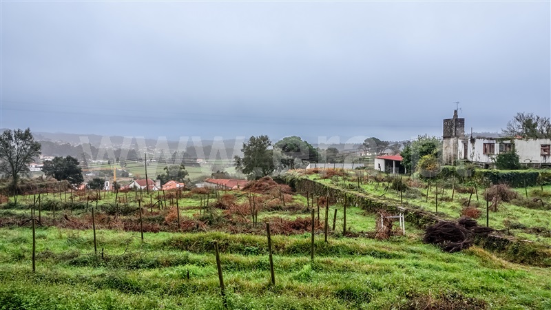 Terreno com ruina  Esposende, Palmeira de Faro e Curvos - 1457981 - 3