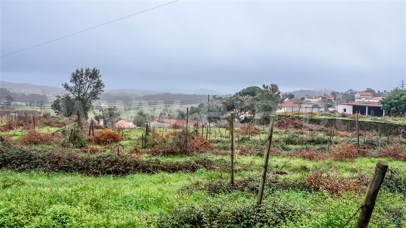 Terreno com ruina  Esposende, Palmeira de Faro e Curvos - 1457981 - 5