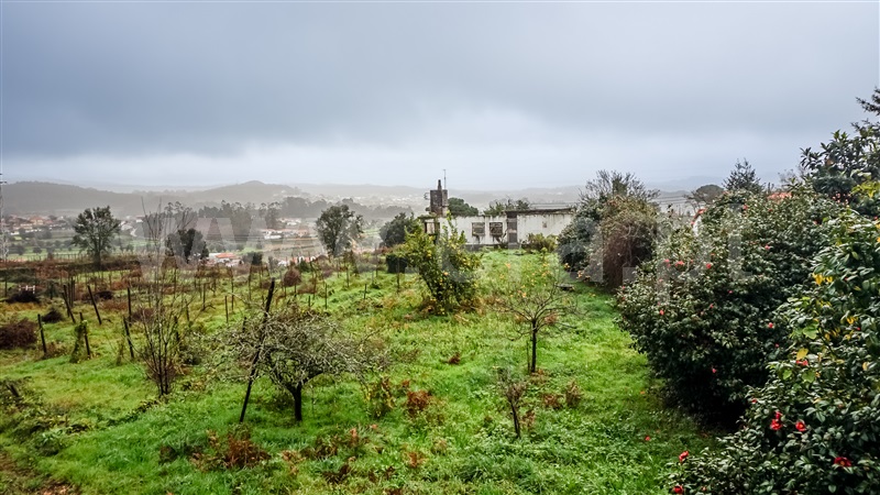 Terreno com ruina  Esposende, Palmeira de Faro e Curvos - 1457981 - 10