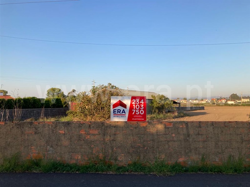 Terreno com ruina / Estarreja, Pardilhó