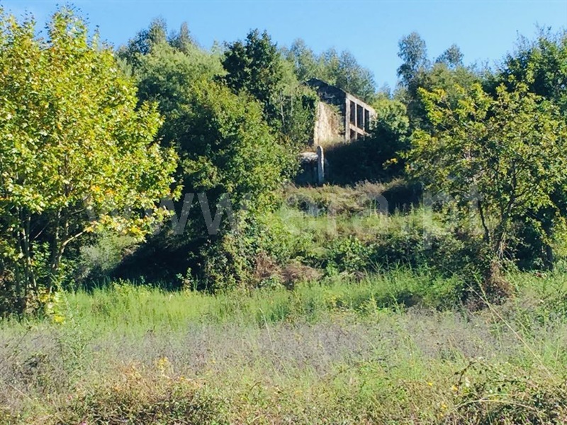 Terreno com ruina / Fafe, Antime e Silvares (São Clemente)