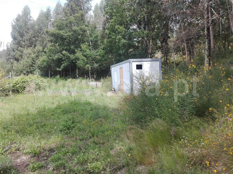 Terreno com ruina / Fafe, Fafe
