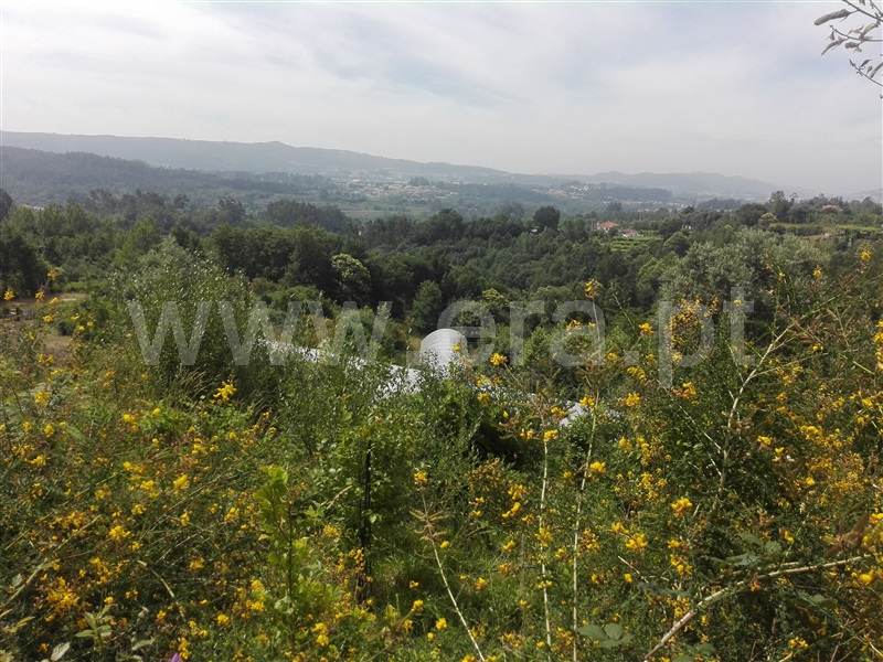 Terreno com ruina  Fafe, Fafe - 1225549 - 2