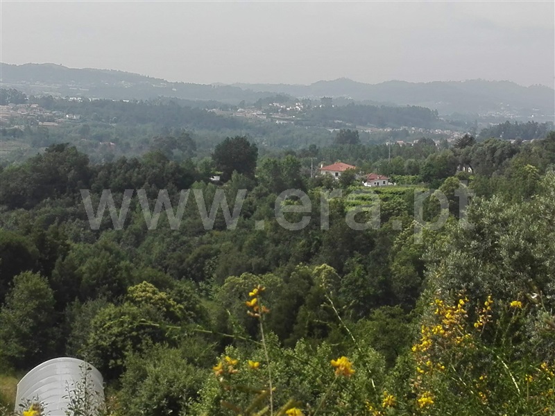 Terreno com ruina  Fafe, Fafe - 1225549 - 4