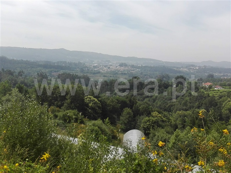 Terreno com ruina  Fafe, Fafe - 1225549 - 5