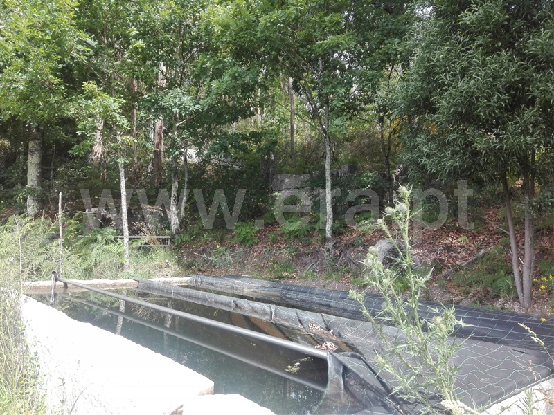 Terreno com ruina  Fafe, Fafe - 1225549 - 8