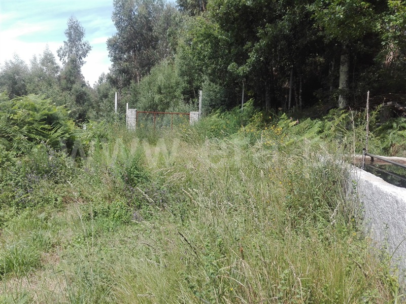 Terreno com ruina  Fafe, Fafe - 1225549 - 9