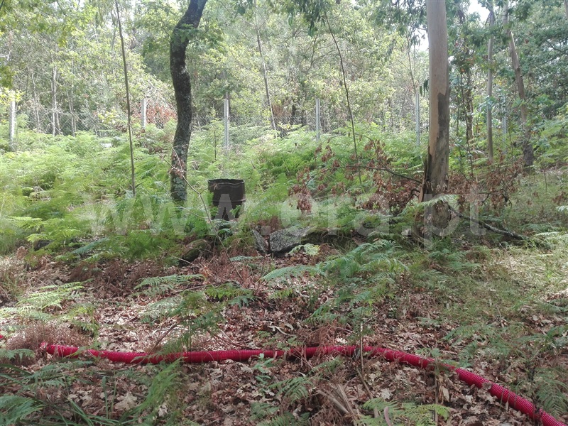 Terreno com ruina  Fafe, Fafe - 1225549 - 13