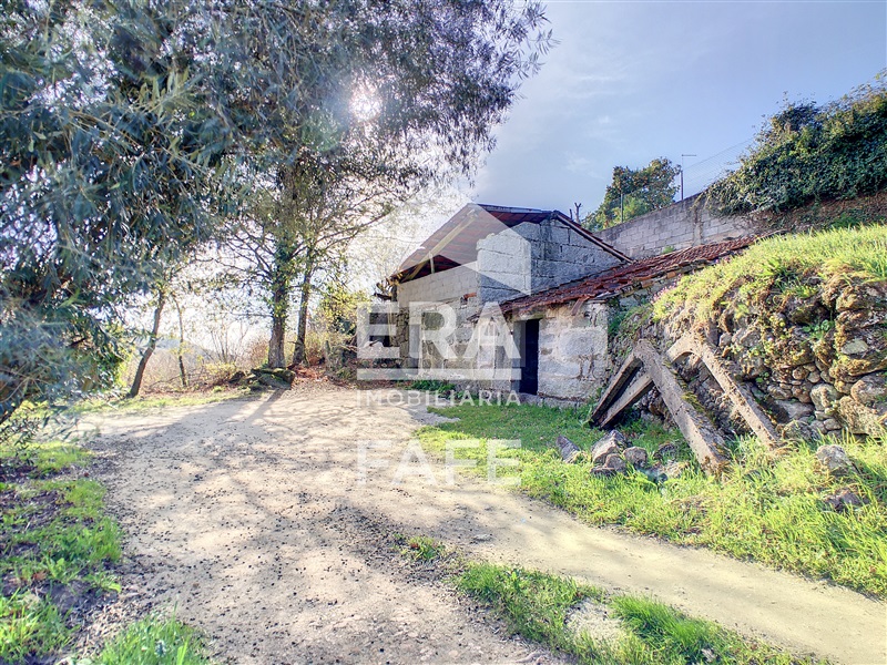 Terreno com ruina / Fafe, Moreira do Rei e Várzea Cova