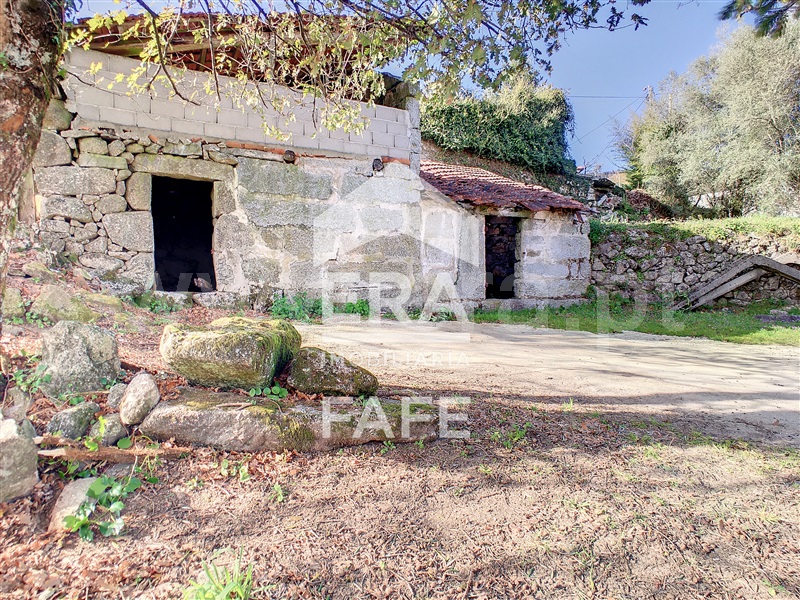 Quinta  Fafe, Fafe - 103336 - 2
