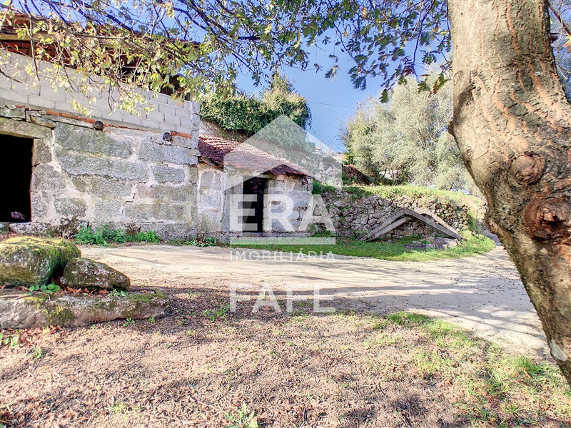 Quinta  Fafe, Fafe - 103336 - 3