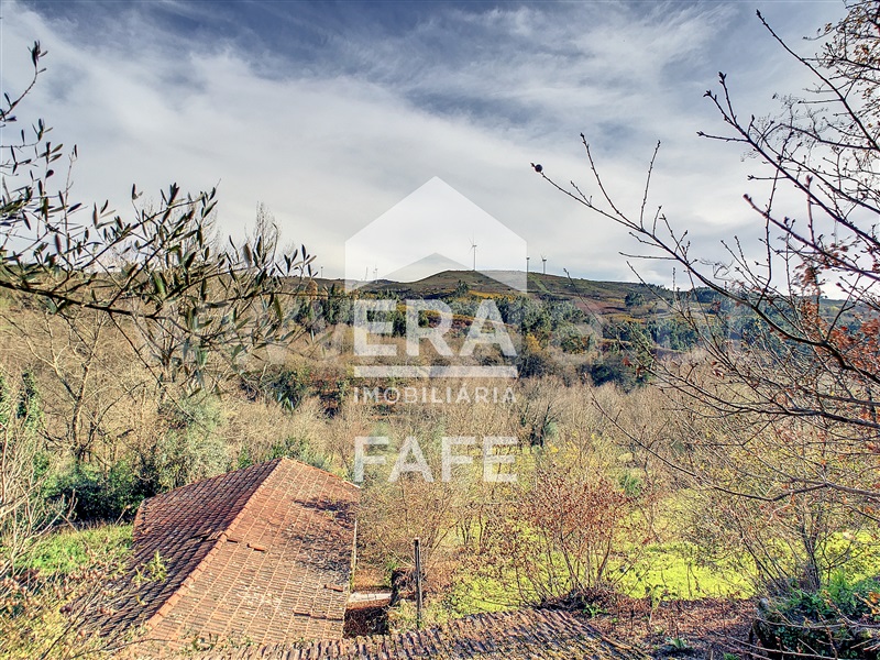 Quinta  Fafe, Fafe - 103336 - 4