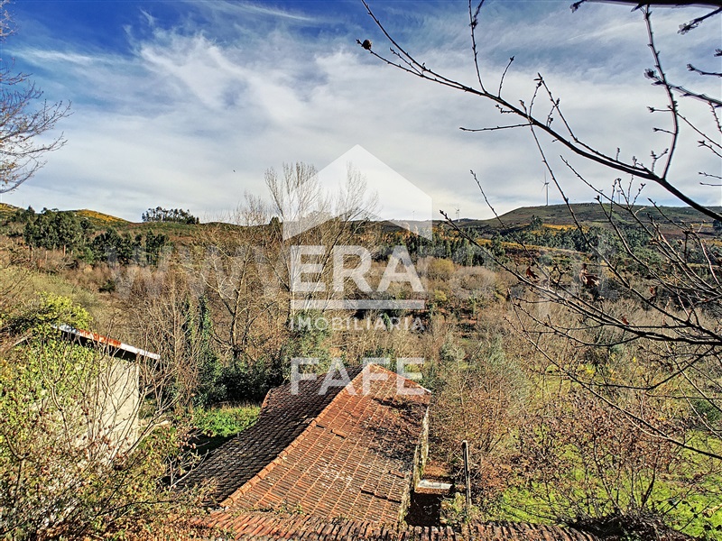 Quinta  Fafe, Fafe - 103336 - 5