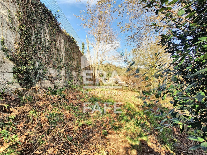 Quinta  Fafe, Fafe - 103336 - 6
