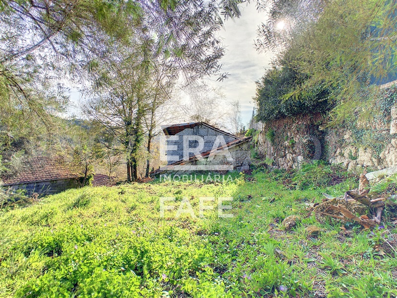Quinta  Fafe, Fafe - 103336 - 9