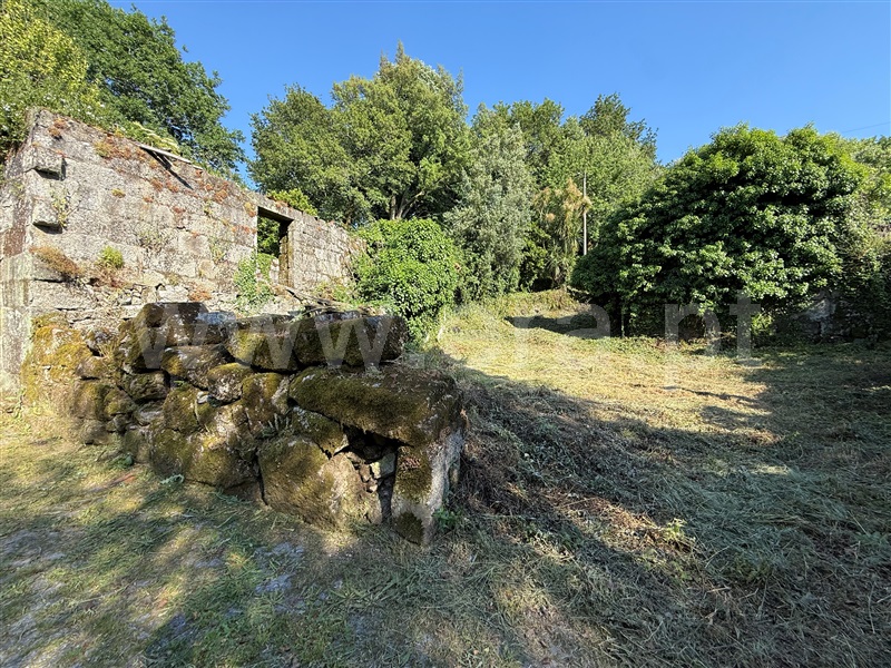 Terreno com ruina / Fafe, Ribeiros