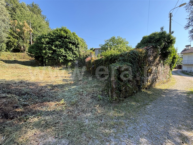 Terreno com ruina  Fafe, Ribeiros - 1491659 - 3
