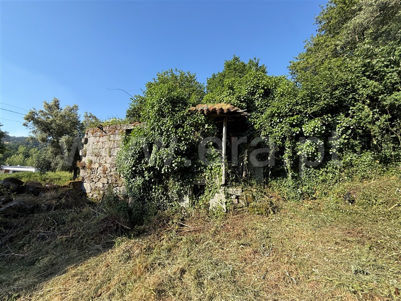 Terreno com ruina  Fafe, Ribeiros - 1491659 - 6