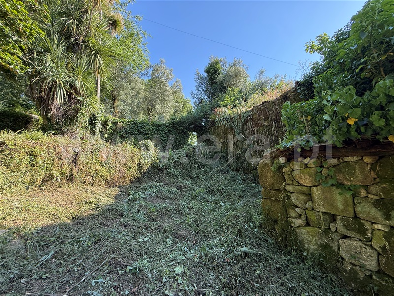 Terreno com ruina  Fafe, Ribeiros - 1491659 - 7
