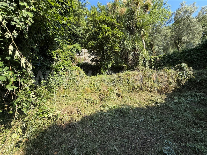 Terreno com ruina  Fafe, Ribeiros - 1491659 - 8