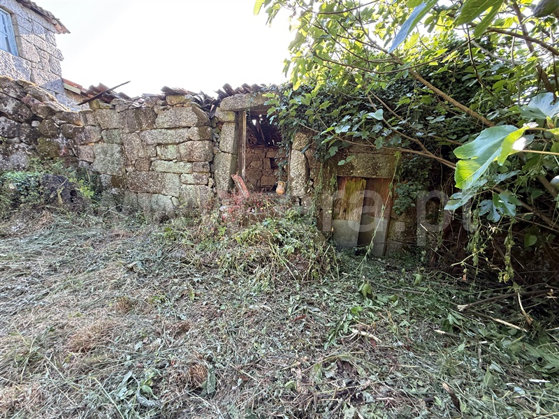 Terreno com ruina  Fafe, Ribeiros - 1491659 - 9