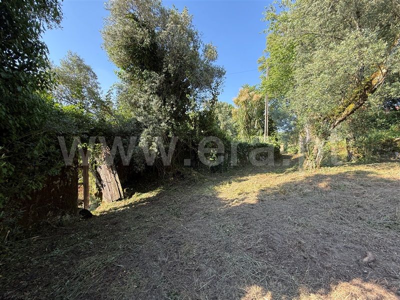 Terreno com ruina  Fafe, Ribeiros - 1491659 - 13