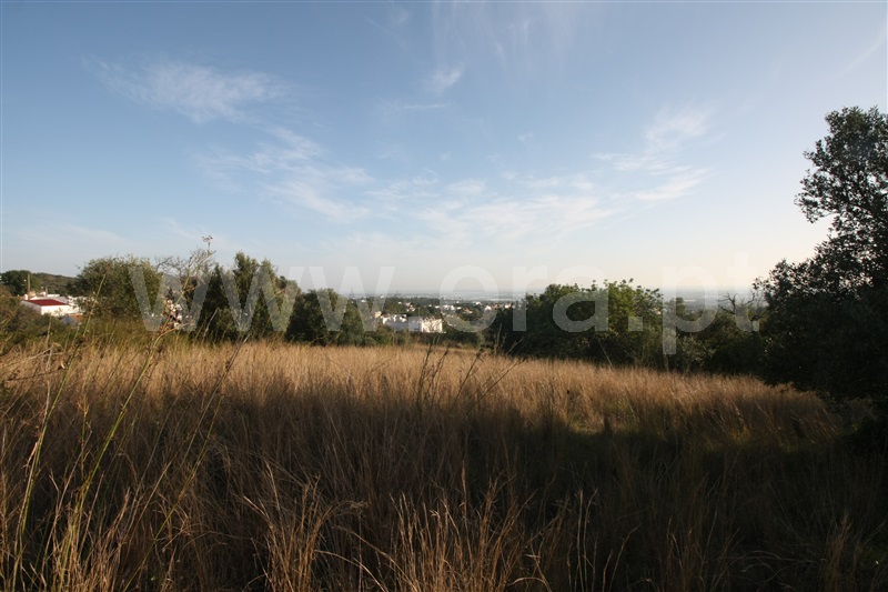 Terreno com ruina / Faro, Canal