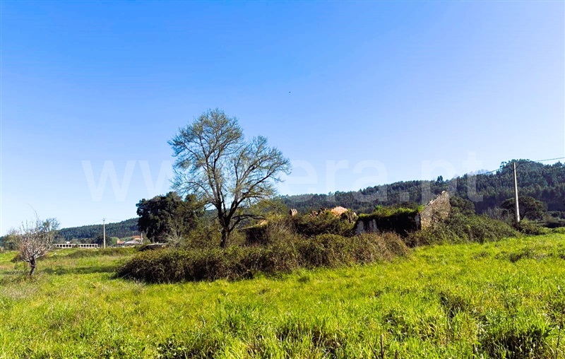Terreno com ruina / Ferreira do Zêzere, Águas Belas
