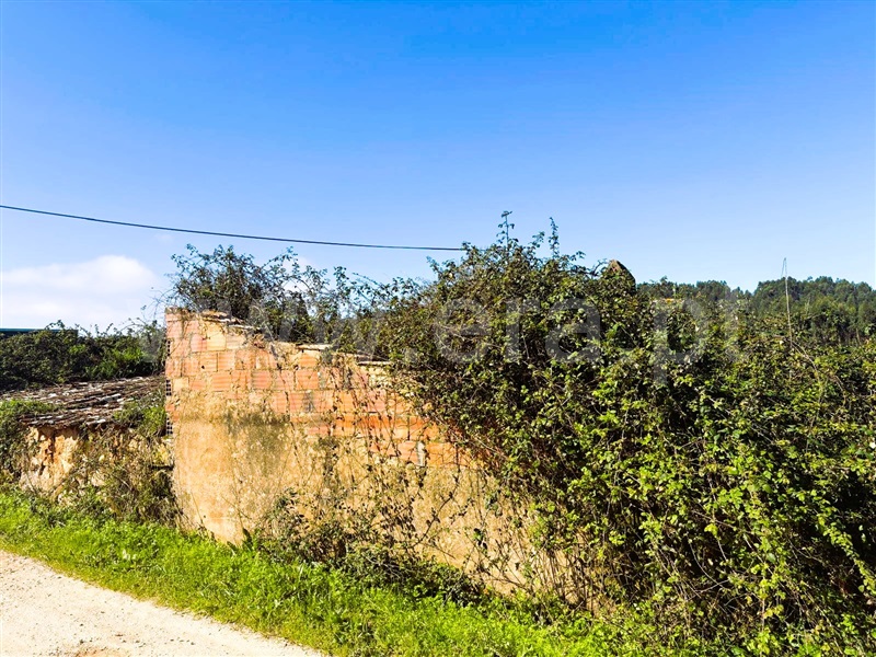 Terreno com ruina  Ferreira do Zêzere, Águas Belas - 1472078 - 3
